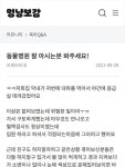 대파 먹어 동물병원 갔더니 38만원 결제