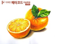 입시미술 기초디자인- 오렌지 개체묘사