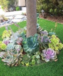 47+ Enchanting DIY Vertical Planter | 다육 식물, 다즙식물 정원