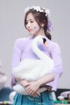 TWICE에 관한 33개의 최상의 Pinterest 이미지 | 남자친구, 아시아의 아름다움 및 펭귄 TWICE