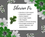 doTerra에 관한 14개의 최상의 Pinterest 이미지 | 에센셜 오일, 에센셜 오일 블렌드 및 건강 doTerra
