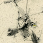 Pin on 시화