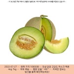 2022-07-27 ─ 16900원 ─ 곡성 담양 고당도 머스크 메론 4kg 7kg