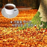 ★ 가을을 마시는 사랑담은 차 한잔 ★ 쓸쓸함 한스푼 넣어서 그리움 만들고 외로움 한스푼 넣어서 사랑 만들고.. 고독을 한스푼 넣어서 나만의... 