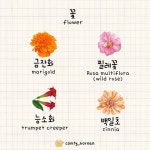 🌼 안녕 친구들 🌼 I am back with a 🌸💐 Set of Vocabulary on Flower 🌼🌷in Korean Language. It really suits the... 