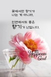 Pin page 가 인연에 있는 milyang kim님의 핀 | 좋은 아침 인사, 따뜻한 문구, 아침 인사