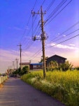 Pin page Pin by 방진희 on 어반스케치 펜,연필 | Pretty landscapes, Art drawings beautiful, Landscape