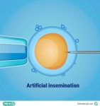 인공수정 일러스트 ai 무료다운로드 free Artificial insemination vector | 웹디자인, 배너, 템플릿