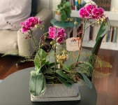 Orchid arrangements에 있는 Juyeon Kim님의 핀 Orchid  arrangements에 있는 Juyeon Kim님의 핀