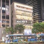machos.sachunki 플랜테리어 planterior