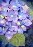 Pin de 유진미 em 수채화 | Aquarela floral, Flores em aquarela, Pintura aquarela