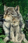 Pin by 목실 박 on Creatures | Baby wolves, Wolf spirit animal, Animals beautiful