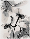 Pin on 모던민화