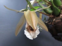 「도기」おしゃれまとめの人気アイデア｜Pinterest｜근섭