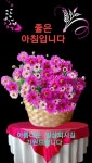 Pin page 움짤꽃바구니에 있는 카톡움짤님의 핀 | 좋은 아침 인사, 아침 인사, 아침