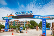 동트는 동해시로 떠나는 여행 | 국내여행 매거진 에스제이진 - sjzine | 해돋이, 여행, 여행지