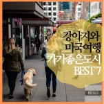 강아지 미국 여행 하기 좋은 도시 7 | 펫리코 강아지동반여행정보 강아지 미국 여행 하기 좋은 도시 7 - 펫리코Petrico... 
