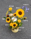 #레아플라워플라워클래스 유노윤호가 아직 안... 즐겨보세요 ❄️ 썸머 클래스의 스테디셀러 바로 해바라기 센터피스 🌻 해바라기 기운... 