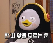 펭수에 있는 Zoo.zjq님의 핀 - 2021