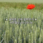 ★ 올바른 곳에 꽃피우기 ★ 사무엘상 20-30-34