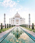 Taj Mahal ~ India ~ 📸@nomadicfare - 2020 | 궁전