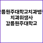 강릉원주대학교치과병원 비정규직 “꿈의 직장! 치과위생사 계약직 지금 바로 지원하세요!” | 강원진