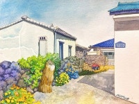 얼마 전 제주 출장 중 동네 마실 다니다 만난 꽃들 만발한 골목길 풍경 :) 가도 가도 또 가고픈 제주…” - 2021 | 출장