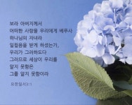 보라 아버지께서 어떠한 사랑을 우리에게 베푸사… #성경 #성경구절