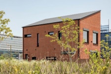 홍당무 - 브리크매거진 -  BRIQUE MAGAZINE