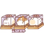 쫄깃쫄깃 탐스러운 찹쌀떡 몰랑이파워로 철썩 붙으세요! 몰랑이들도... 나비랑 #수능 #수능대박 #고생하셨습니다 #몰랑 #몰랑이