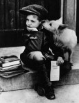 Beautiful, inspirational and creative images from Piccsy. Thousands of Piccs from all our streams, for you to browse, enjoy and... 