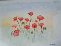 Gentils coquelicots | 수채화