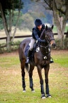 #horseriding #horserider #equine seal bay xcountry | 승마