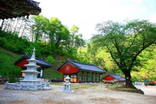 용추사는 신라 소지왕 9년(487)에 각연대사(覺然大師)가 창건한 옛 장수사와 4대 부속 암자중에서 현존하는 유일한 사찰로서... 