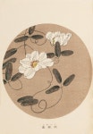Japanese art에 있는 cassia grandis님의 핀 - 2023 | 민화, 꽃그림, 꽃