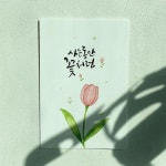 서두연캘리그라피 on Instagram: “#두연글씨 ෆ . 사는동안 꽃처럼💕” | 손글씨, 작은 그림, 서체