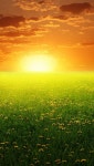 Beautiful Sunset | 경치, 자연, 풍경 사진