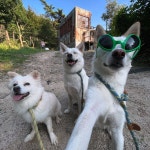 👽📸🤳 최애 놀이터 @greenville3__ 오운완!