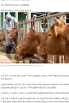 청주 한우 농장 두곳서 구제역…국내서 4년 4개월만