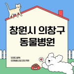 창원시 의창구 동물병원 추천 BEST 5｜24시 동물병원, 진료비, 일요일, 강아지, 고양이 진료 잘하는 곳, 후기 총정리 - 정보창고