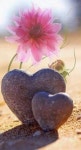 Zen에 관한 815개의 최상의 Pinterest 이미지 | 꽃, 그림 및 배경화면 Zen