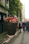 2.Rose basket Magical Forest shop 1- now that is a big delivery of flowers. | 꽃꽂이
