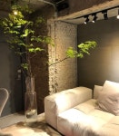 #공간연출 #훌륭한 #가구매장 #보에 #인테리어 #가구점 #디자이너가구 #쇼룸  #design #furniture #showroom #interiordesign | 인테리어... 