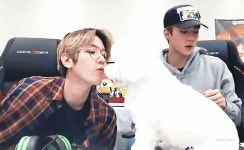 ปักพินโดย p h ư ơ n g a n h ใน ╰❥ ʙʏᴜɴ ʙᴀᴇᴋʜʏᴜɴ 변 백 현