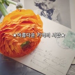 Pin page ★아름다운 기억의 서랍★   왠지 아무에게도 보여 주고 싶지 않은, 그런 저마다의 애잔하고 누추한 기억의 서랍 하나쯤은 누구나... 