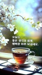 Pin page 감사에 있는 쑥향님의 핀 - 2024 | 아침 이미지, 생일 축하 이미지, 좋은 아침 인사