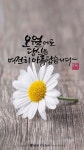 오월 캘리그라피