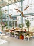 Oops-A-Daisy 웁스어데이지 안산 카페 인테리어 건축 설계 식물 디자인 Pin on interior design