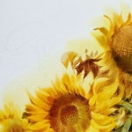 Pin page 박임규 Parkimgyu on Instagram: #꽃#꽃수채화#꽃그리기#박임규수채화#해바라기 #해바라기그리기 #수채화#뭉크미술학원... 