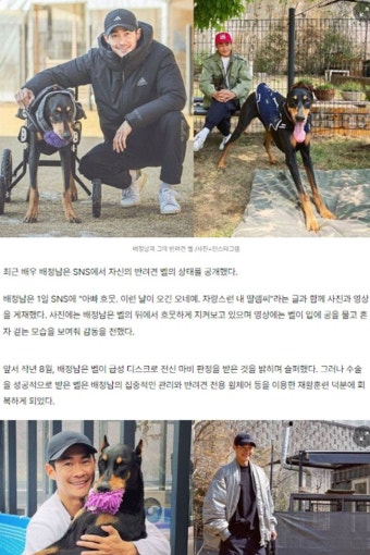 배정남, '전신마비 반려견' 벨의 혼자 걷는 모습에 감격.. | 사진, 뉴스, 연예인